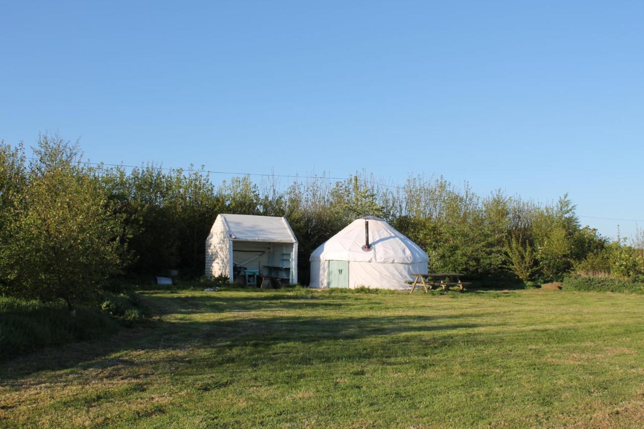 Mill Haven Place Glamping Yurt 3 Haverfordwest Kültér fotó