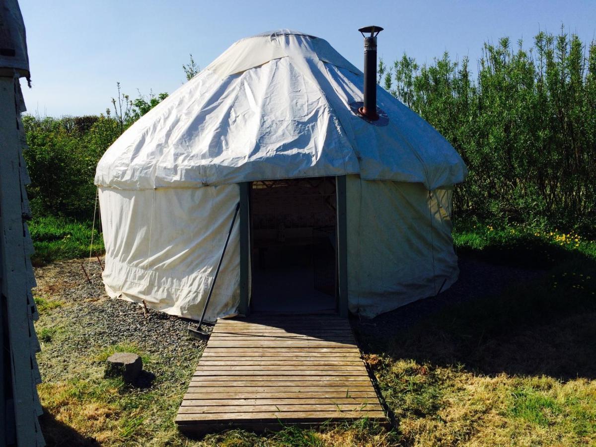 Mill Haven Place Glamping Yurt 3 Haverfordwest Kültér fotó